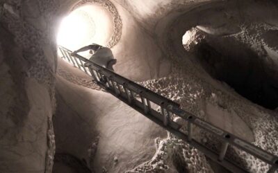 What Have We All Been Doing Over The Last Two Months?